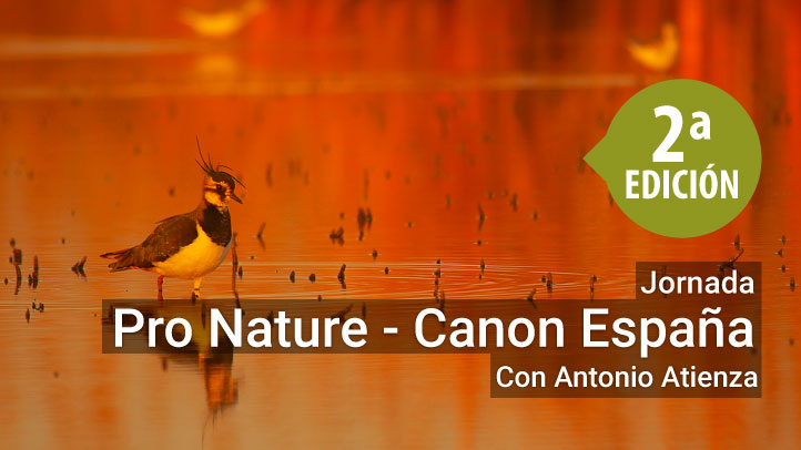II Jornada de Fotografía - Pro Nature - Canon España
