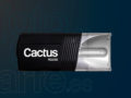 Flash Cactus RQ250