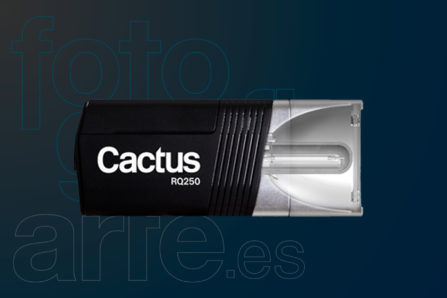 Flash Cactus RQ250