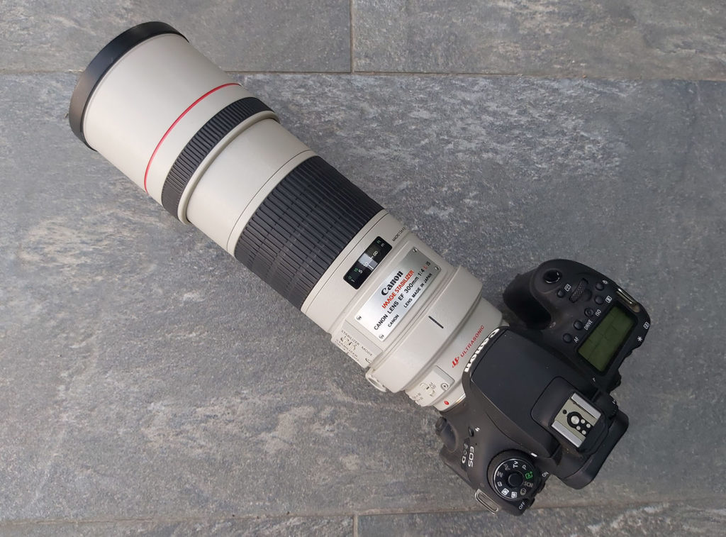 Canon EOS 90D: primeras impresiones
