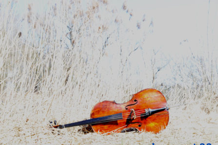 imagen para el disco "pieces for cello" de Rasim Abdullayev y Almaz Mehdiyeva. 2022