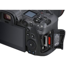 Canon Eos R5 + RF 85mm f1.2 L DS