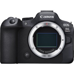 copy of Canon EOS R8
